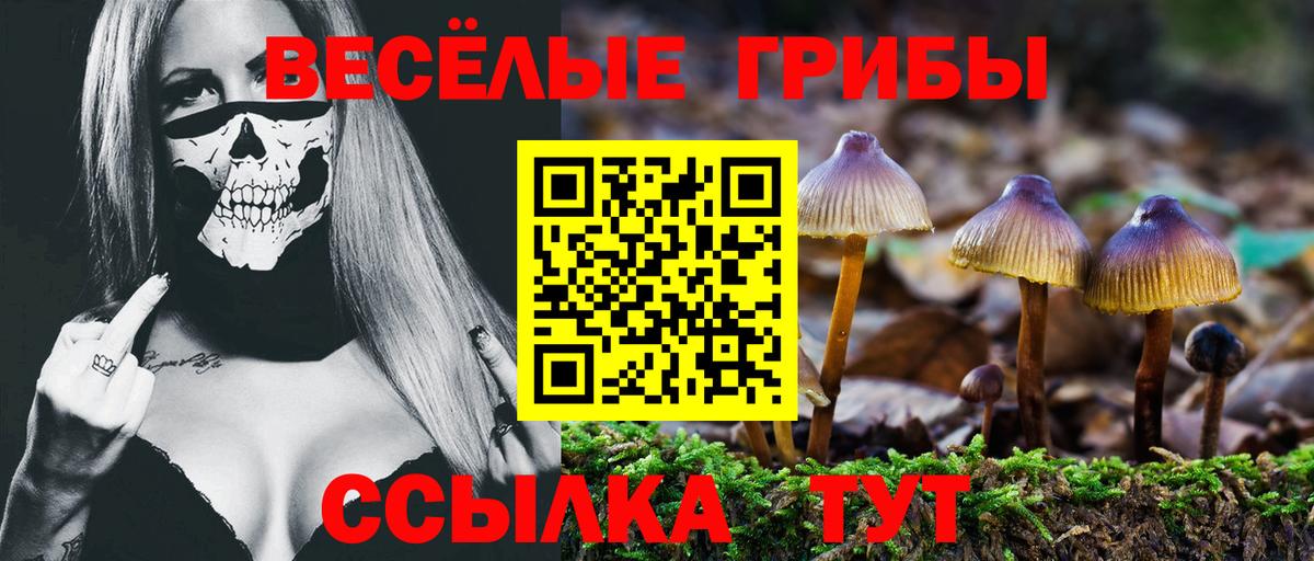 Псилоцибиновые грибы прущие грибы Сосновоборск