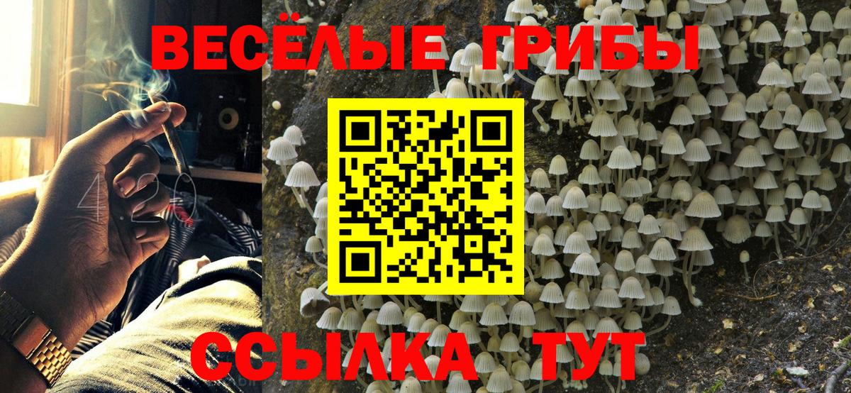 Галлюциногенные грибы MAGIC MUSHROOMS  купить наркотики цена  Вход с VPN  Сосновоборск  Псилоцибиновые грибы Psilocybe 